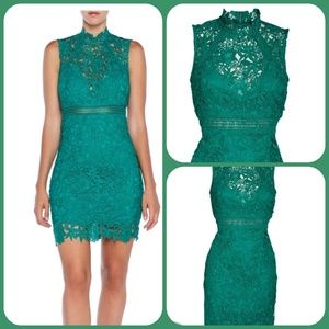 Bardot Women's Cocktail Lace Dress